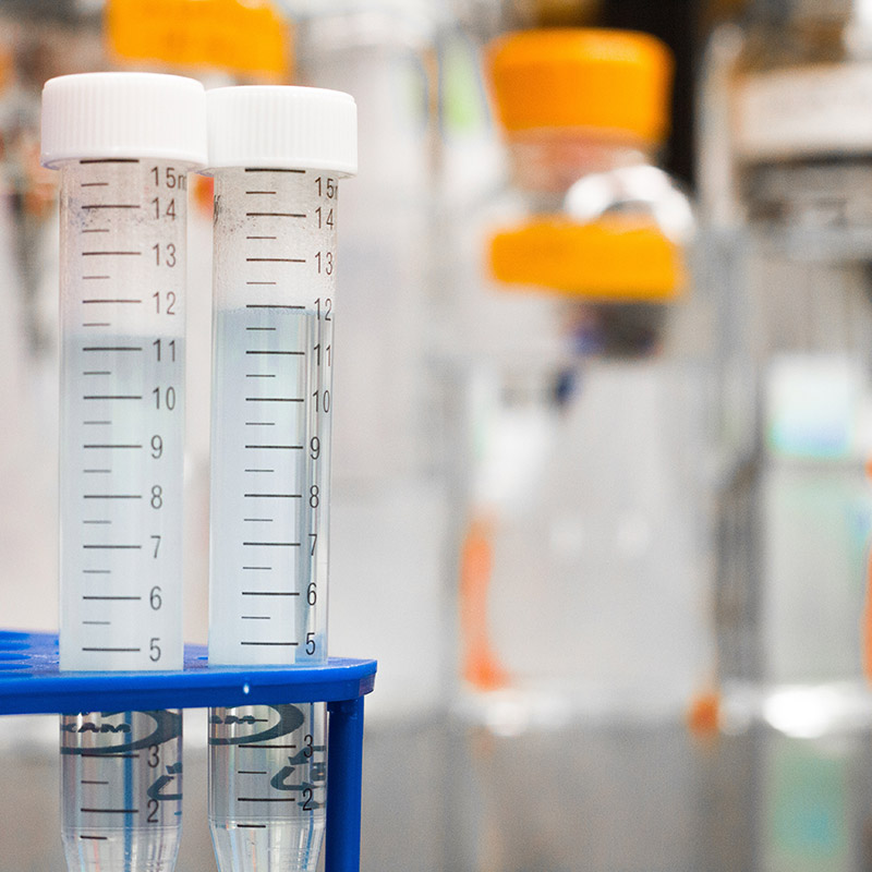 Fontanería Sin Obras y Rehabilitación de Bajantes en el Sector Industrial